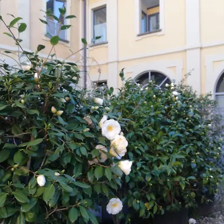 Lisander فندق سيرينيو