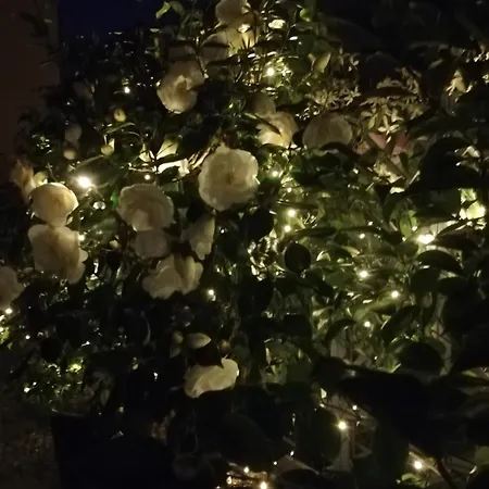 Szálloda Lisander Seregno