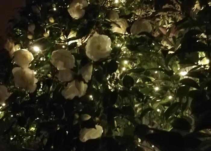 Hotel Lisander Seregno